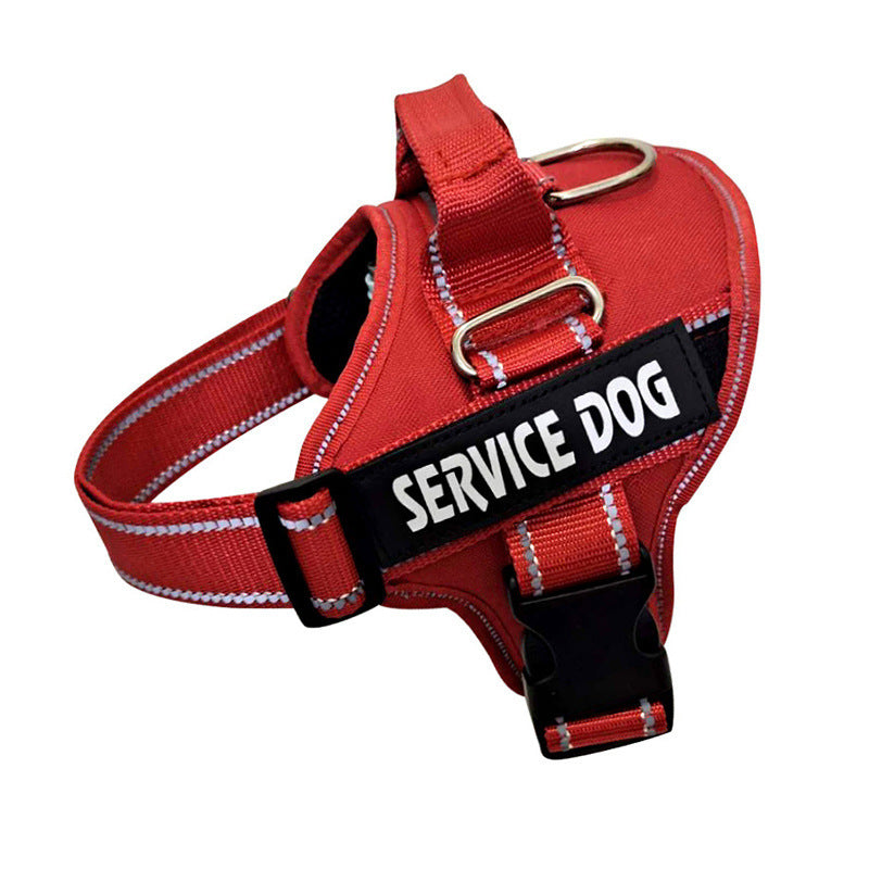 Personalization Of Pet Chest Strap Products by DC-THE CEO