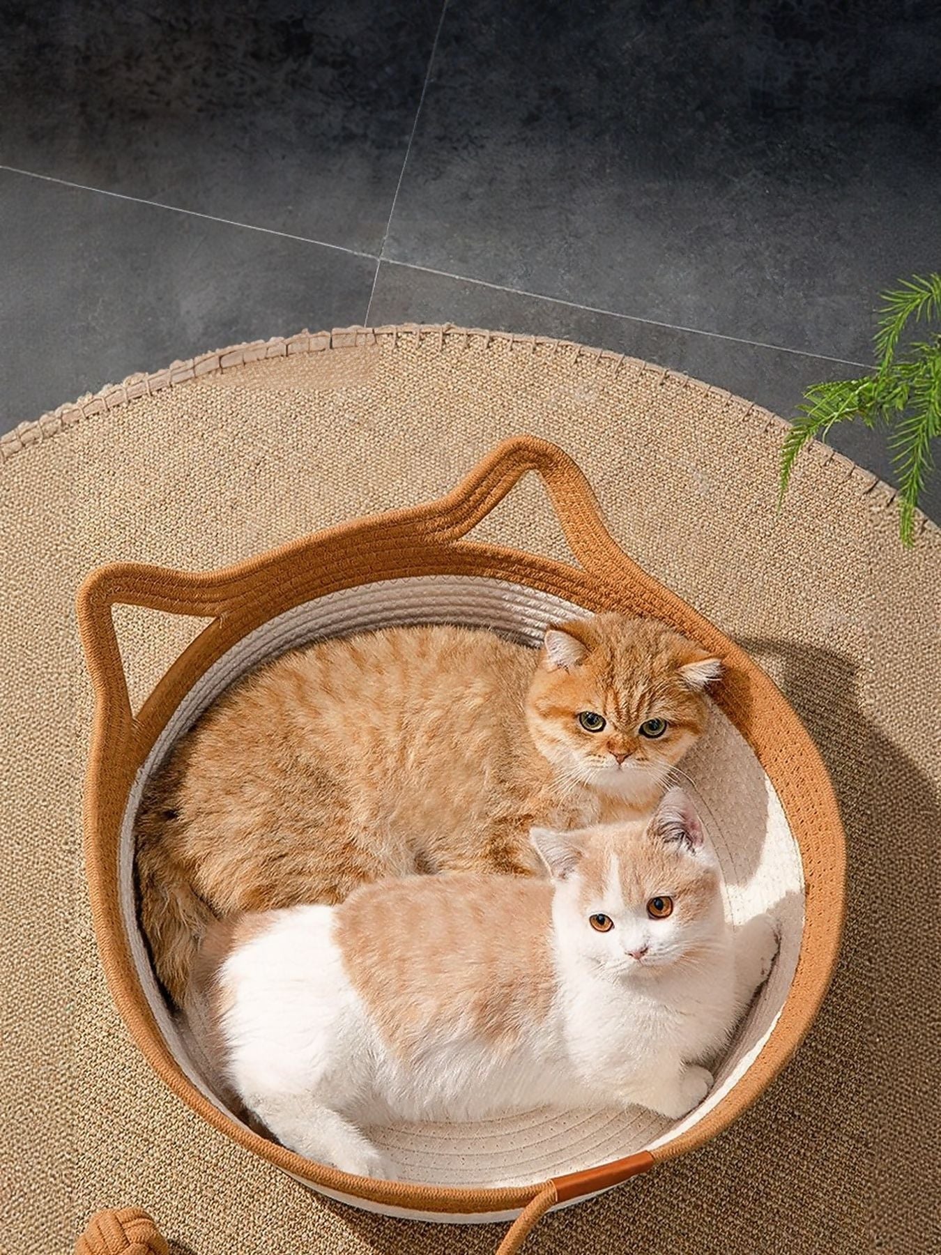 Cat Ear Woven Pet Nest by Trendsi