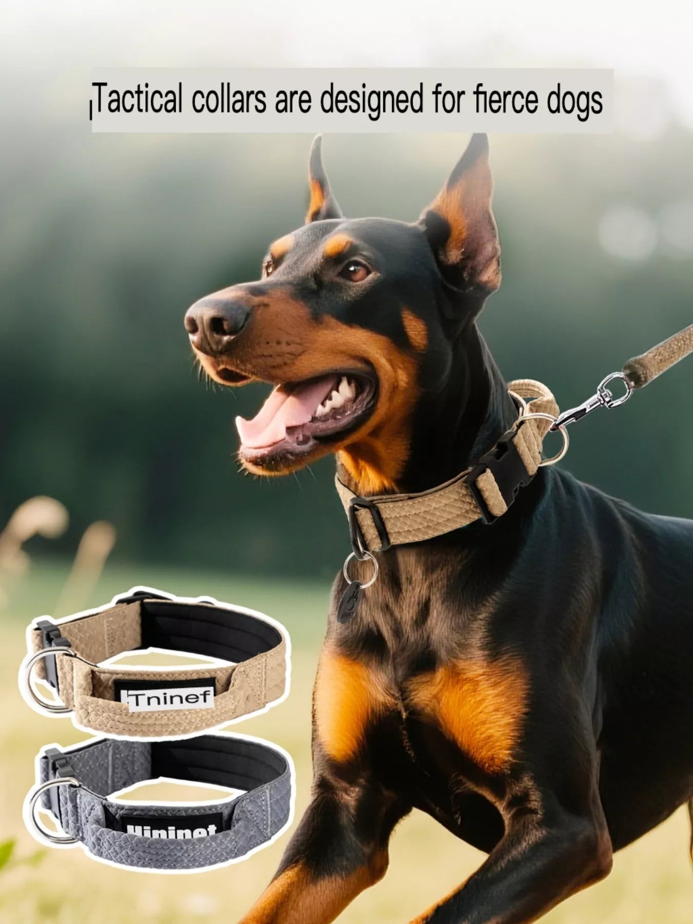 Comfortable Neck Guard Explosion-Proof Pet Collar by Trendsi