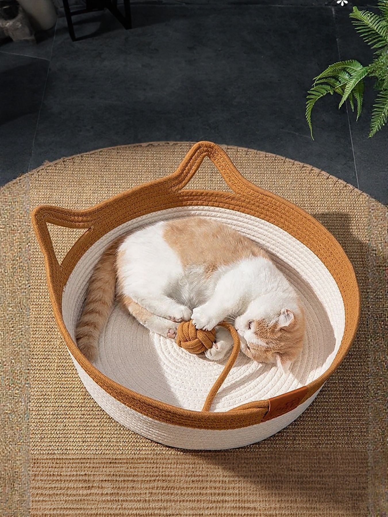Cat Ear Woven Pet Nest by Trendsi
