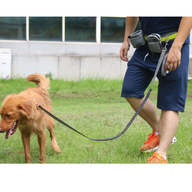 Adjustable Hands Free Dog Leash by DC-THE CEO