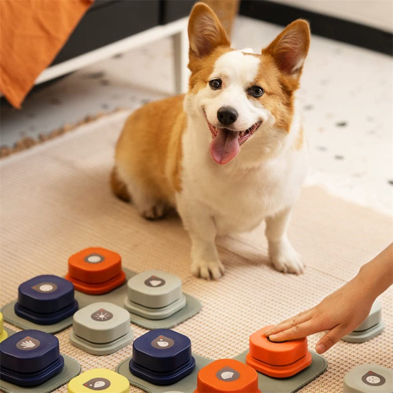 4 Colors Pet Communication Button One-click Prevent Physical Inactivity Recordable Dog Talking Button Toy Cat Toy Pet Products by DC-THE CEO