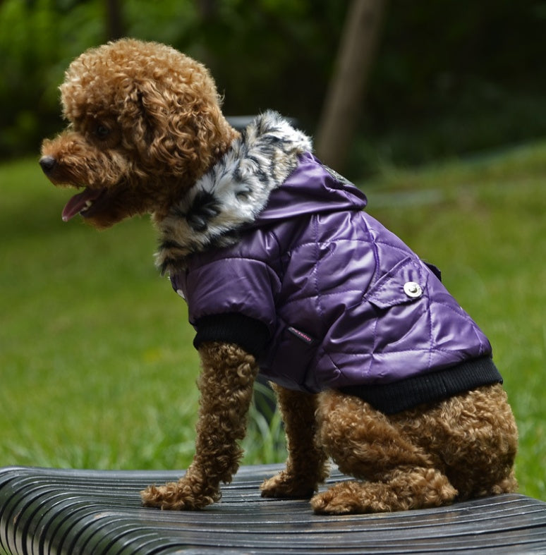 Cross-border pet supplies pet clothes dog clothes autumn and winter fur collar coat pet dog clothing by DC-THE CEO
