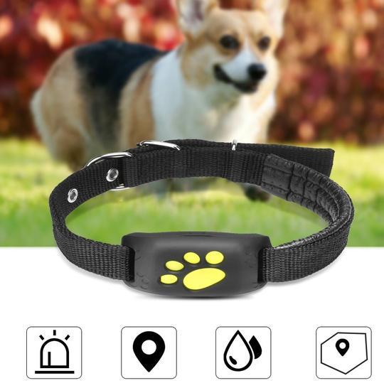 GPS Pet Tracker by DC-THE CEO