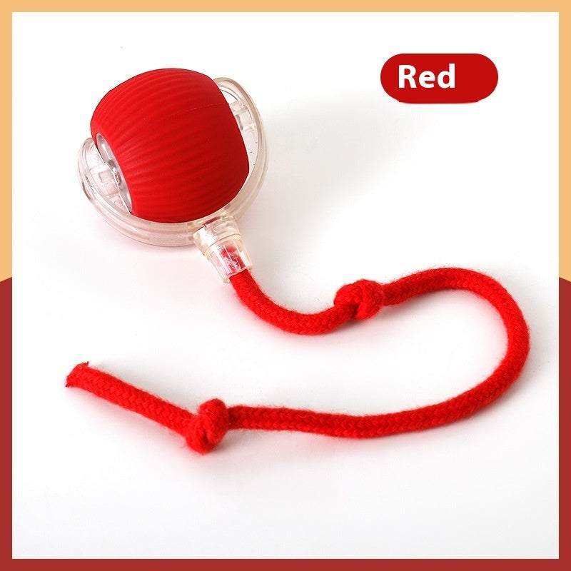 Interactive Cat Toy Ball Super Drive Cat Rolling Ball by DC-THE CEO