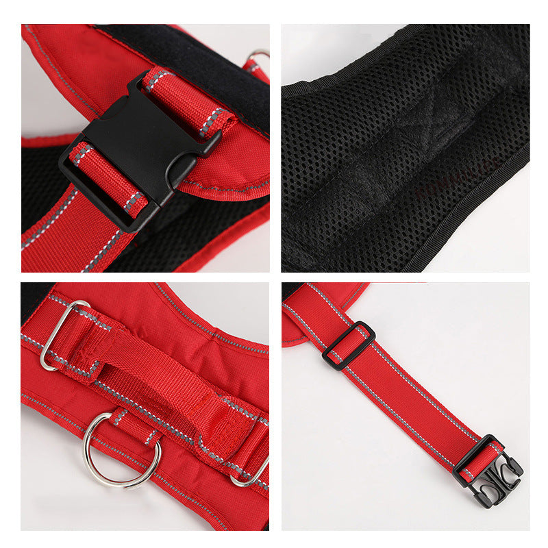 Personalization Of Pet Chest Strap Products by DC-THE CEO