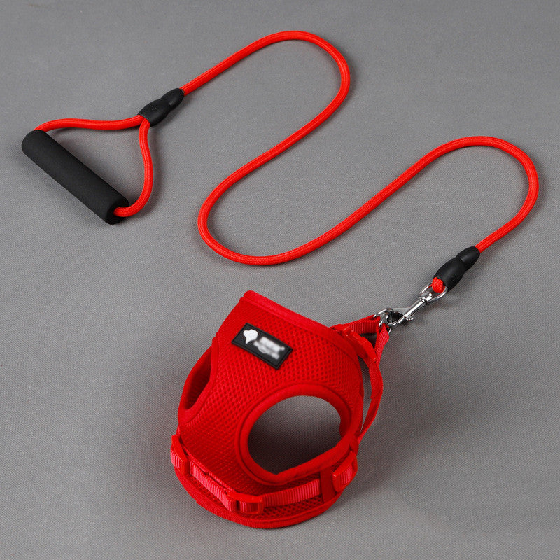 Dog leash dog leash dog collar by DC-THE CEO