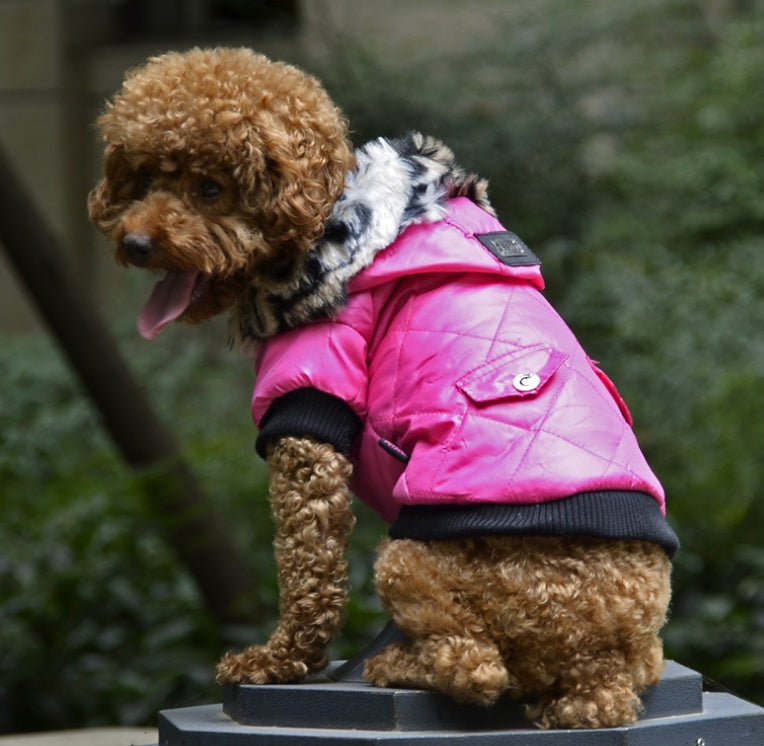 Cross-border pet supplies pet clothes dog clothes autumn and winter fur collar coat pet dog clothing by DC-THE CEO