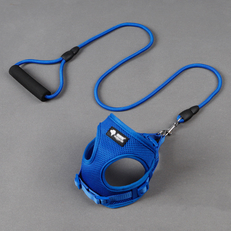 Dog leash dog leash dog collar by DC-THE CEO
