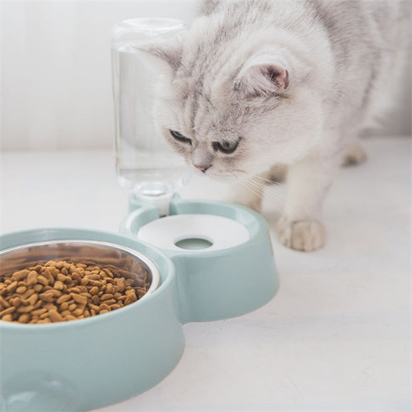 Dog bowl by DC-THE CEO