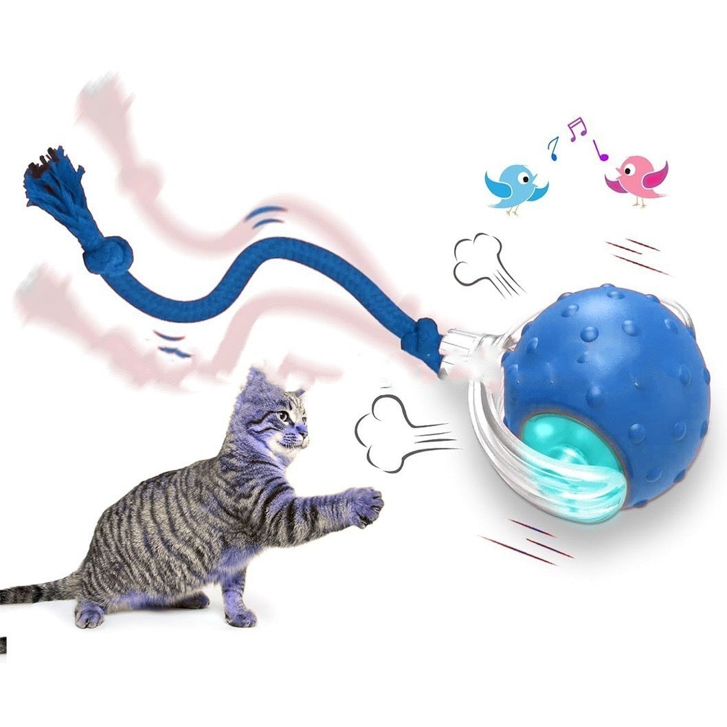Interactive Cat Toy Ball Super Drive Cat Rolling Ball by DC-THE CEO