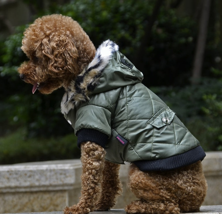 Cross-border pet supplies pet clothes dog clothes autumn and winter fur collar coat pet dog clothing by DC-THE CEO