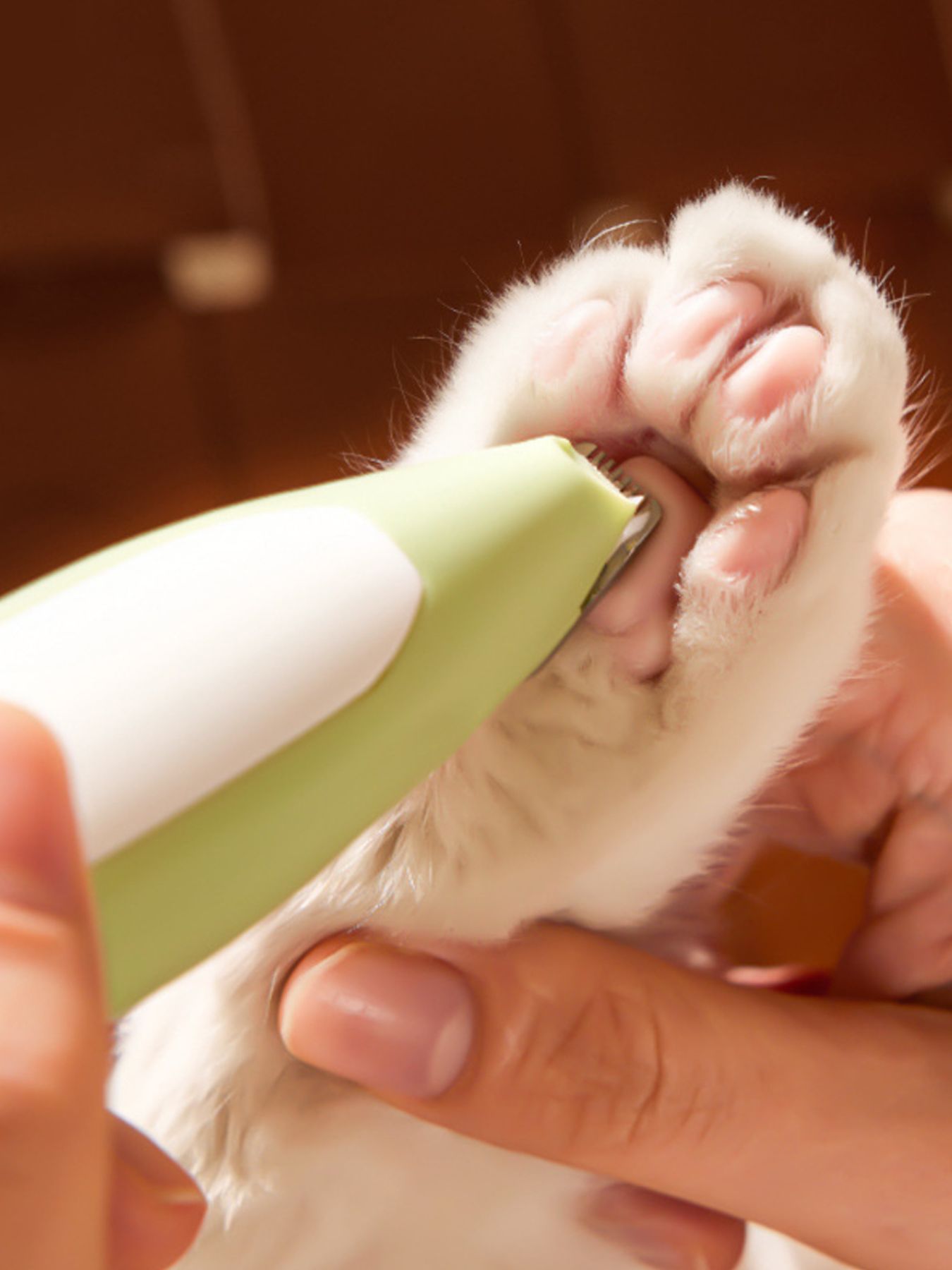 LED Pet Paw Trimmer Rechargeable Low Noise by Trendsi