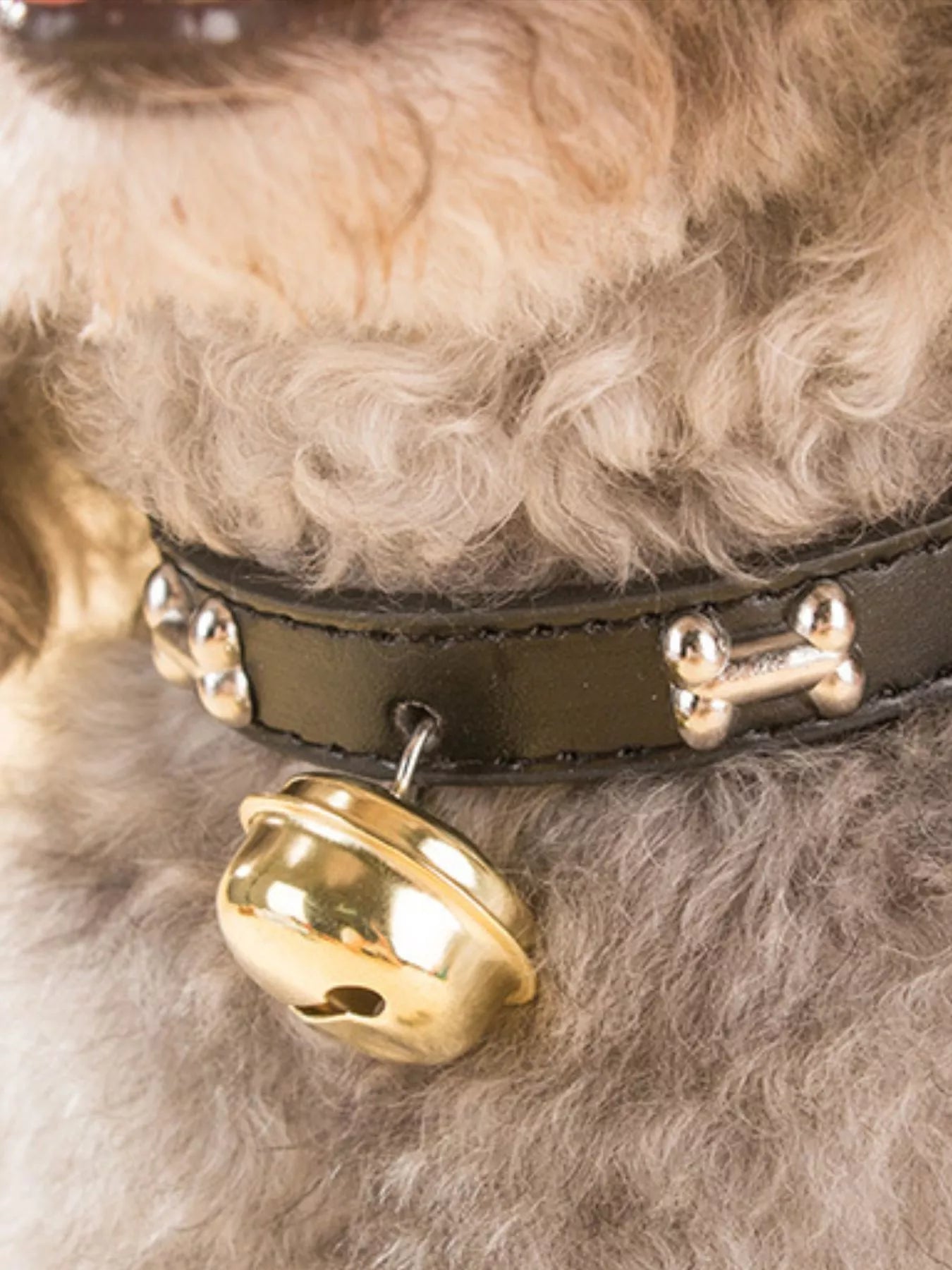 Leather Pet Collar with Bell by Trendsi