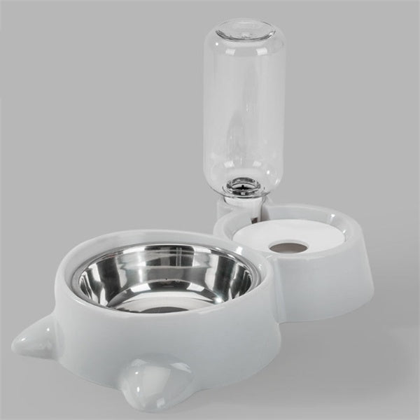 Dog bowl by DC-THE CEO