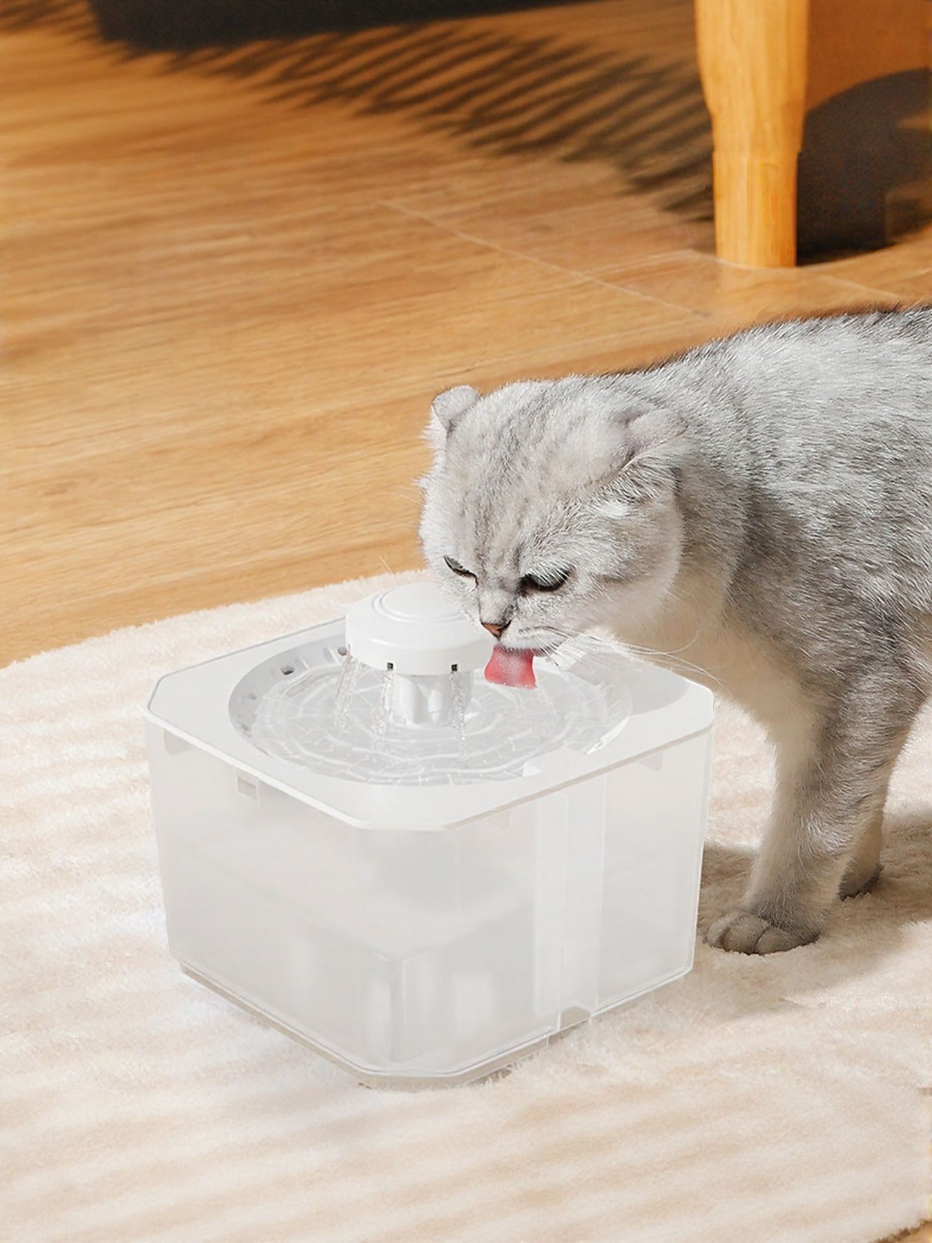 Automatic Pet Water Fountain with Circulation System by Trendsi