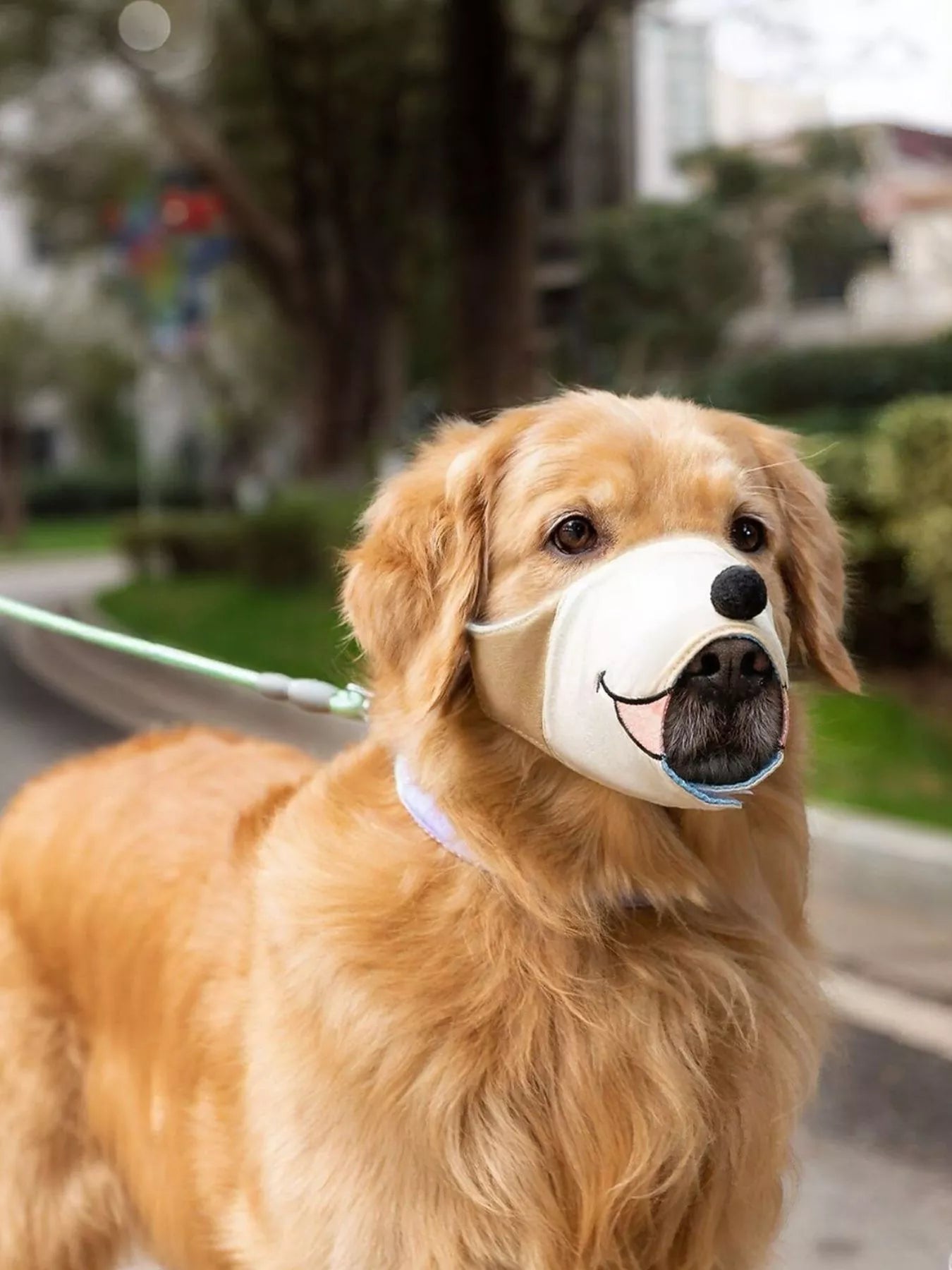 Anti-Bite Dog Muzzle by Trendsi