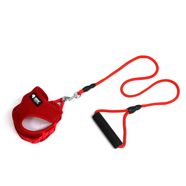 Dog leash dog leash dog collar by DC-THE CEO
