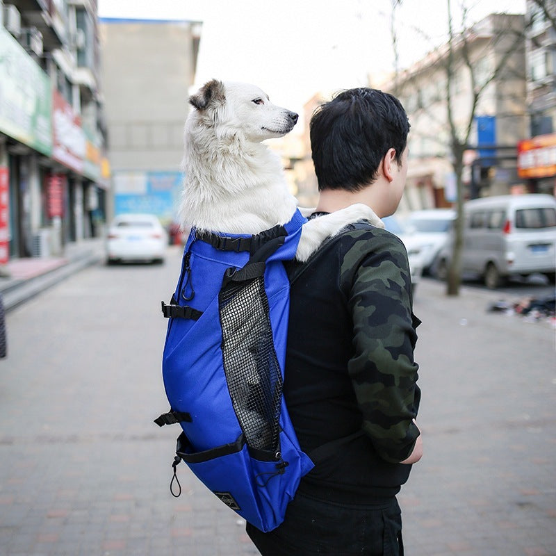 Pet Dog Carrier Bag Carrier For Dogs Backpack Out Double Shoulder Portable Travel Backpack Outdoor Dog Carrier Bag Travel by DC-THE CEO