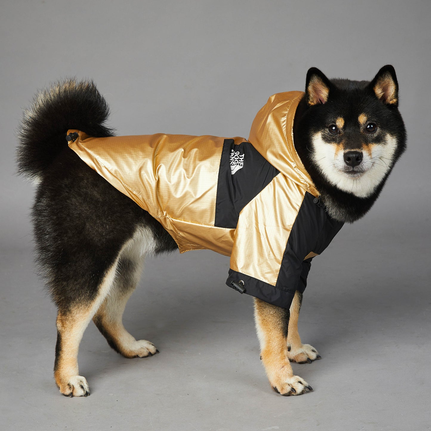 Dog Large Dog Raincoat Pet Jacket by DC-THE CEO