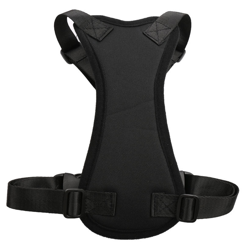 Car seat belts for pets by DC-THE CEO