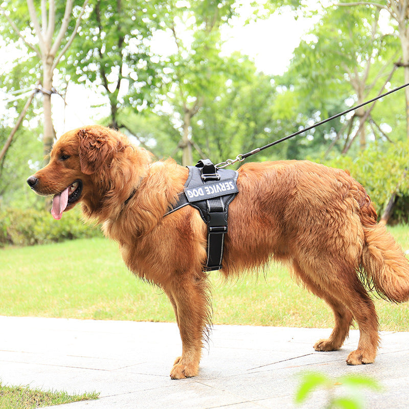 Personalization Of Pet Chest Strap Products by DC-THE CEO