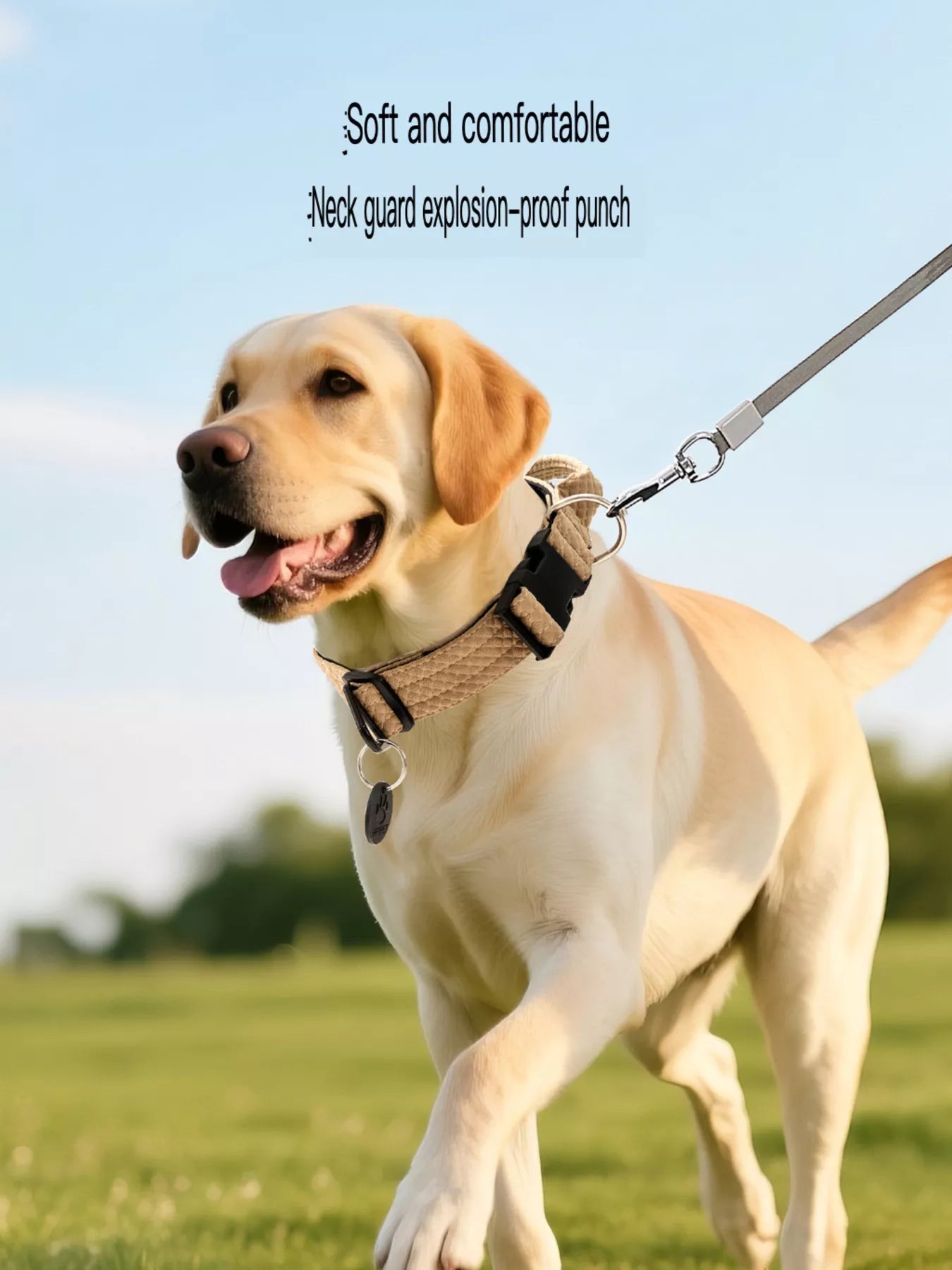 Comfortable Neck Guard Explosion-Proof Pet Collar by Trendsi