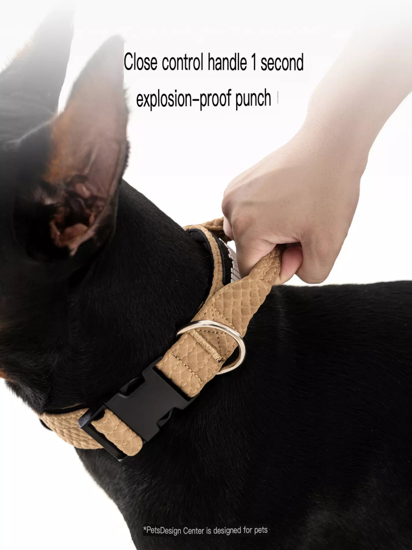 Comfortable Neck Guard Explosion-Proof Pet Collar by Trendsi