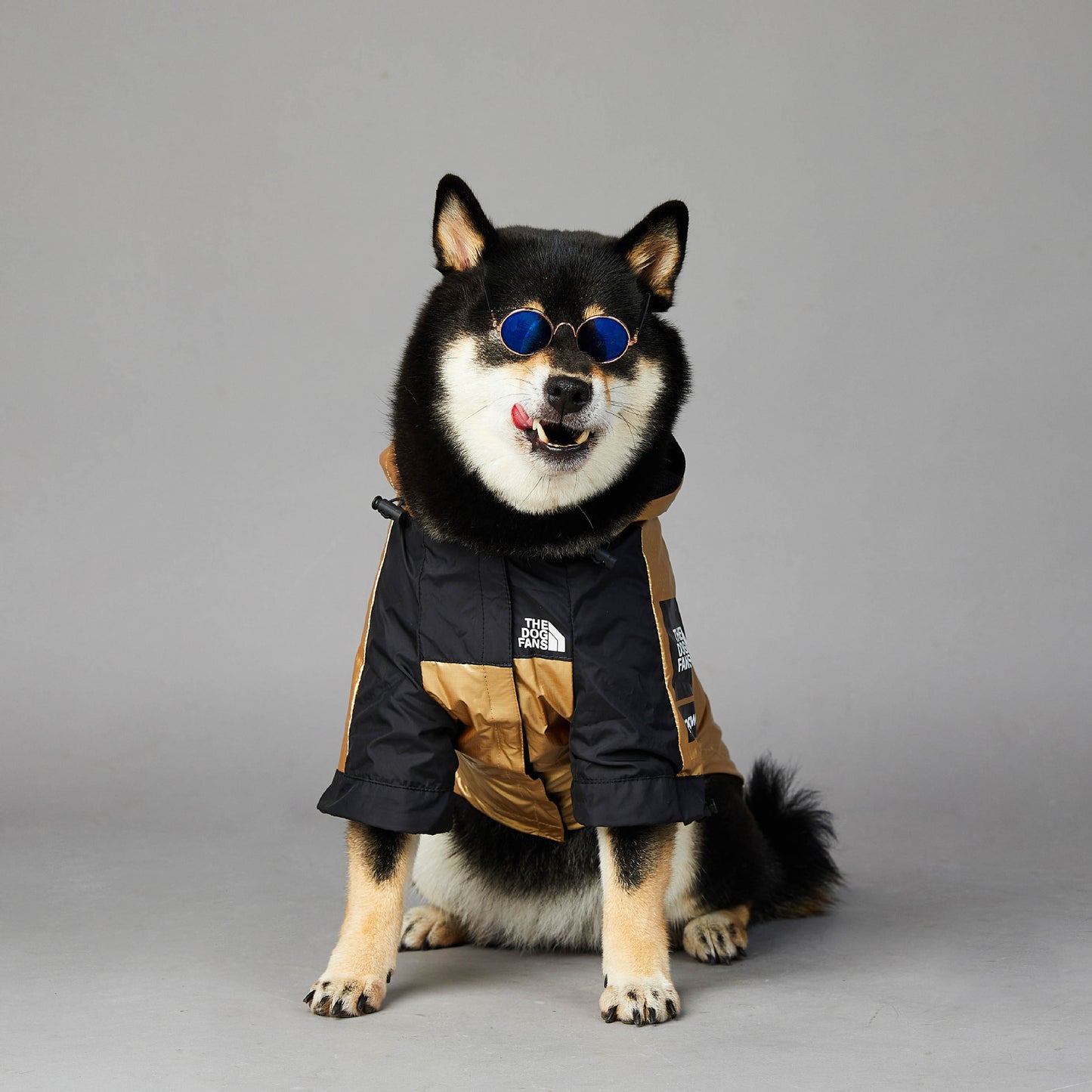 Dog Large Dog Raincoat Pet Jacket by DC-THE CEO