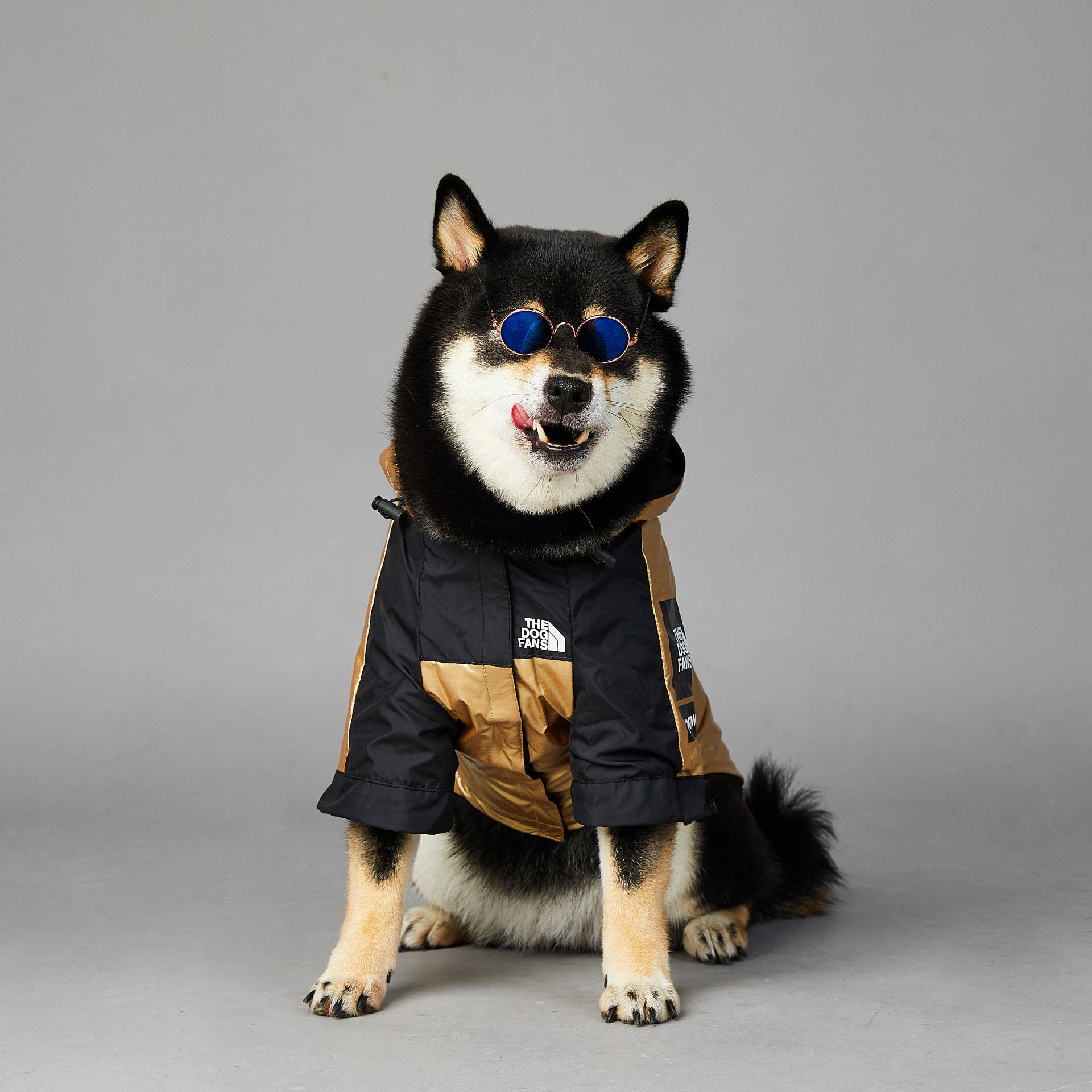 Dog Large Dog Raincoat Pet Jacket by DC-THE CEO