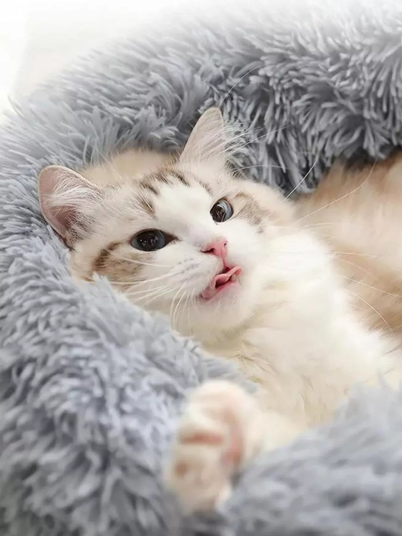 Fluffy Plush Donut Pet Nest by Trendsi