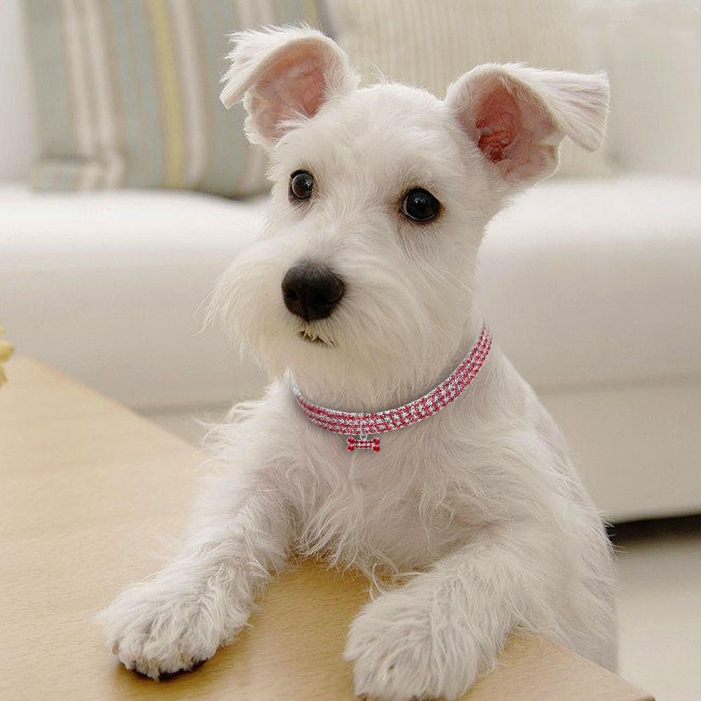 Bling Rhinestone Dog Collar Crystal Puppy Chihuahua Pet Dog Collars Leash For Small Medium Dogs Cats by DC-THE CEO