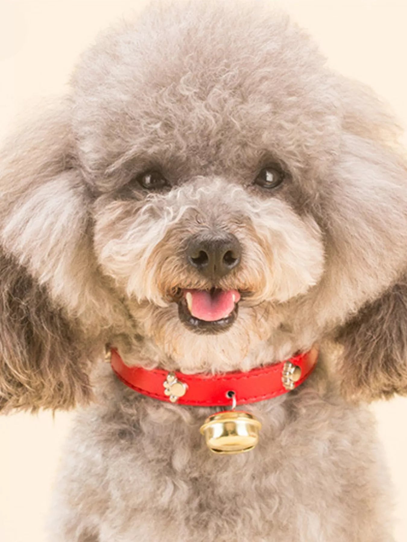 Leather Pet Collar with Bell by Trendsi