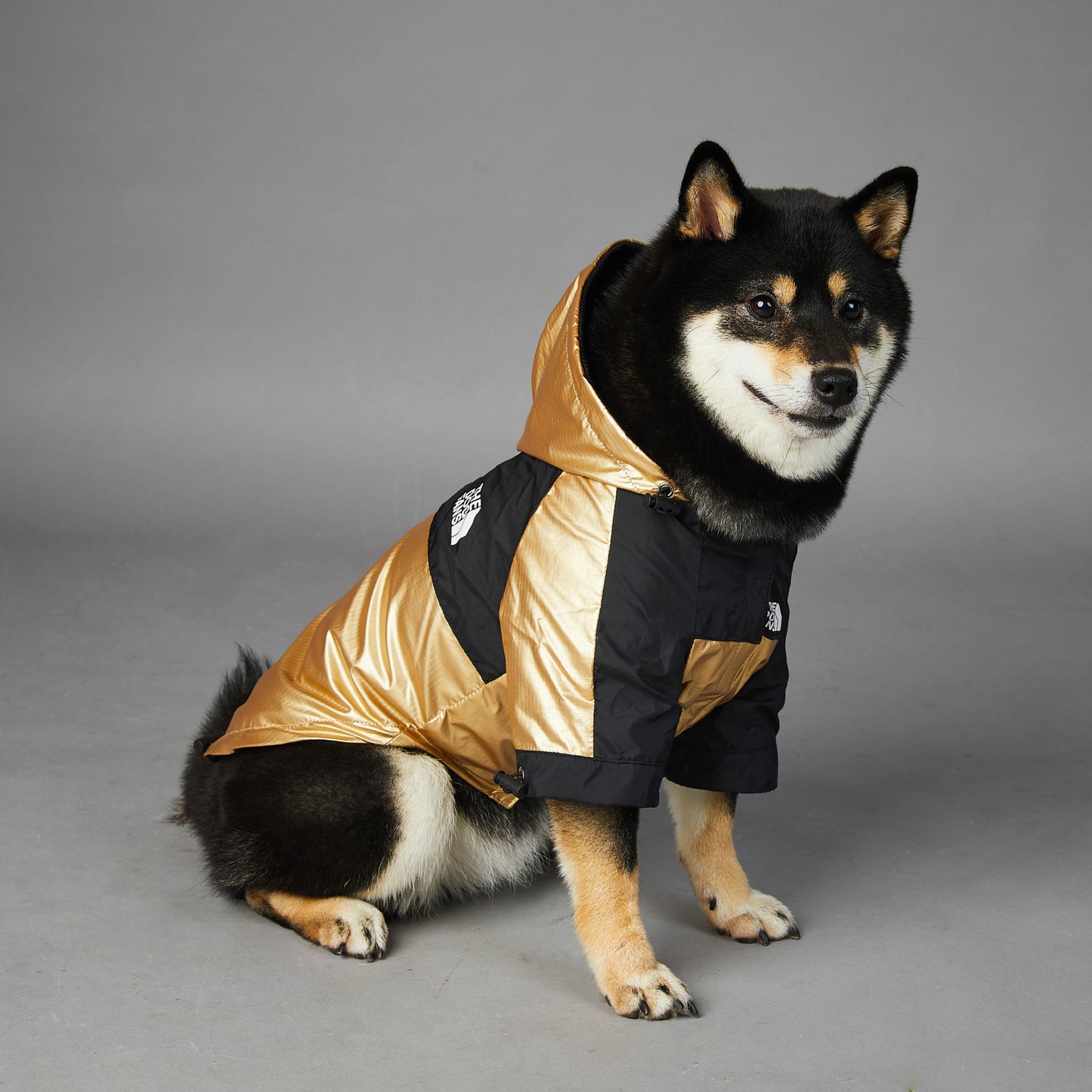 Dog Large Dog Raincoat Pet Jacket by DC-THE CEO
