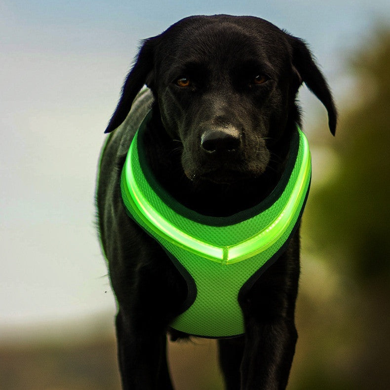 LED Luminous Dog Harness Led USB Charging Dog Chest Strap Vest Pet Safety Reflective Harness Pet Vest For Puppy Large Dog Pet Products by DC-THE CEO