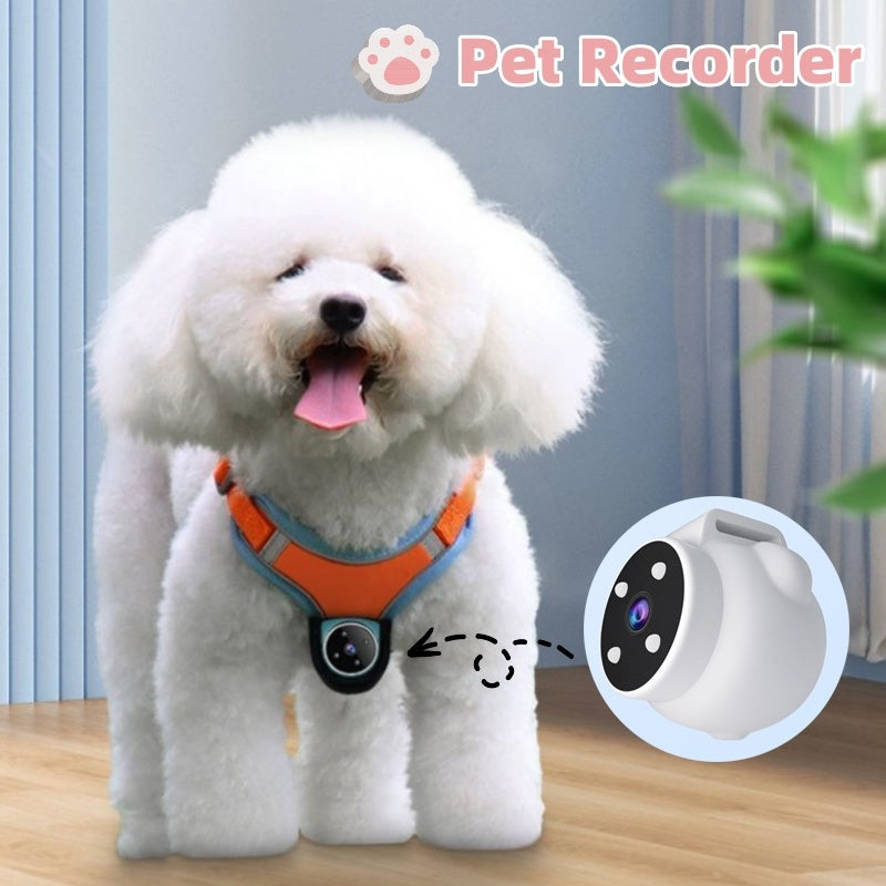 Pets Recorder Pet Tracker Collar Dogs And Cats Viewing Angle Motion Recording Camera Action Camera With Video Records Cat Collars Camera Sport Pet Products by DC-THE CEO