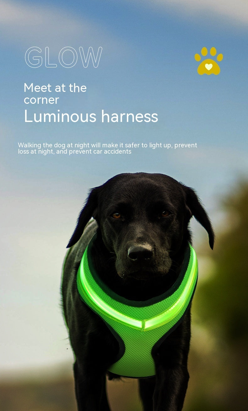LED Luminous Dog Harness Led USB Charging Dog Chest Strap Vest Pet Safety Reflective Harness Pet Vest For Puppy Large Dog Pet Products by DC-THE CEO
