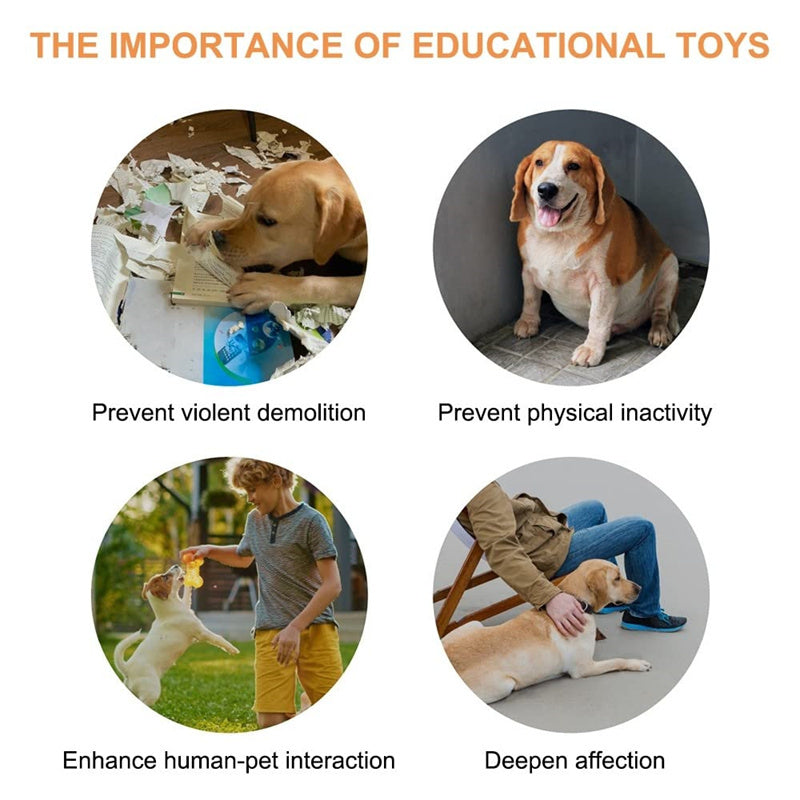 4 Colors Pet Communication Button One-click Prevent Physical Inactivity Recordable Dog Talking Button Toy Cat Toy Pet Products by DC-THE CEO