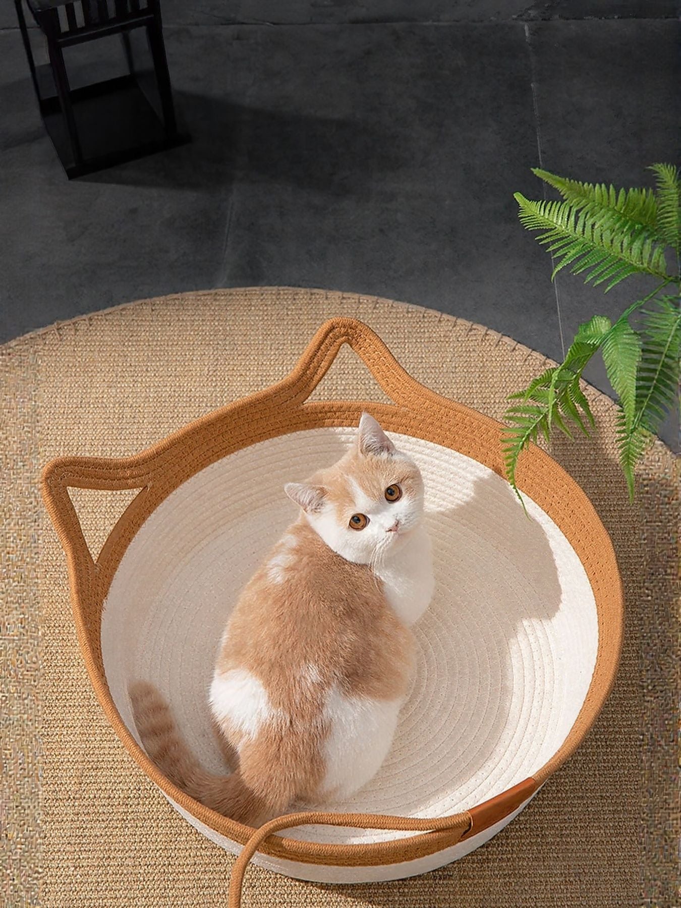 Cat Ear Woven Pet Nest by Trendsi