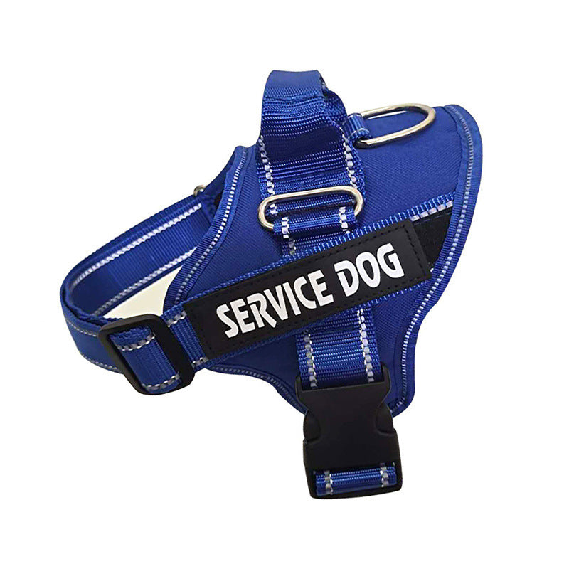Personalization Of Pet Chest Strap Products by DC-THE CEO