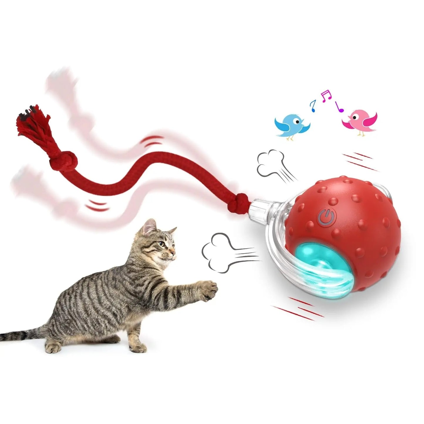 Interactive Cat Toy Ball Super Drive Cat Rolling Ball by DC-THE CEO