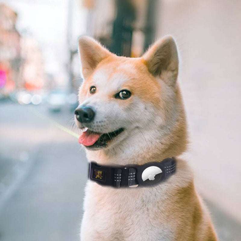 Pet Products Mobile Phone Tracker Protector by DC-THE CEO