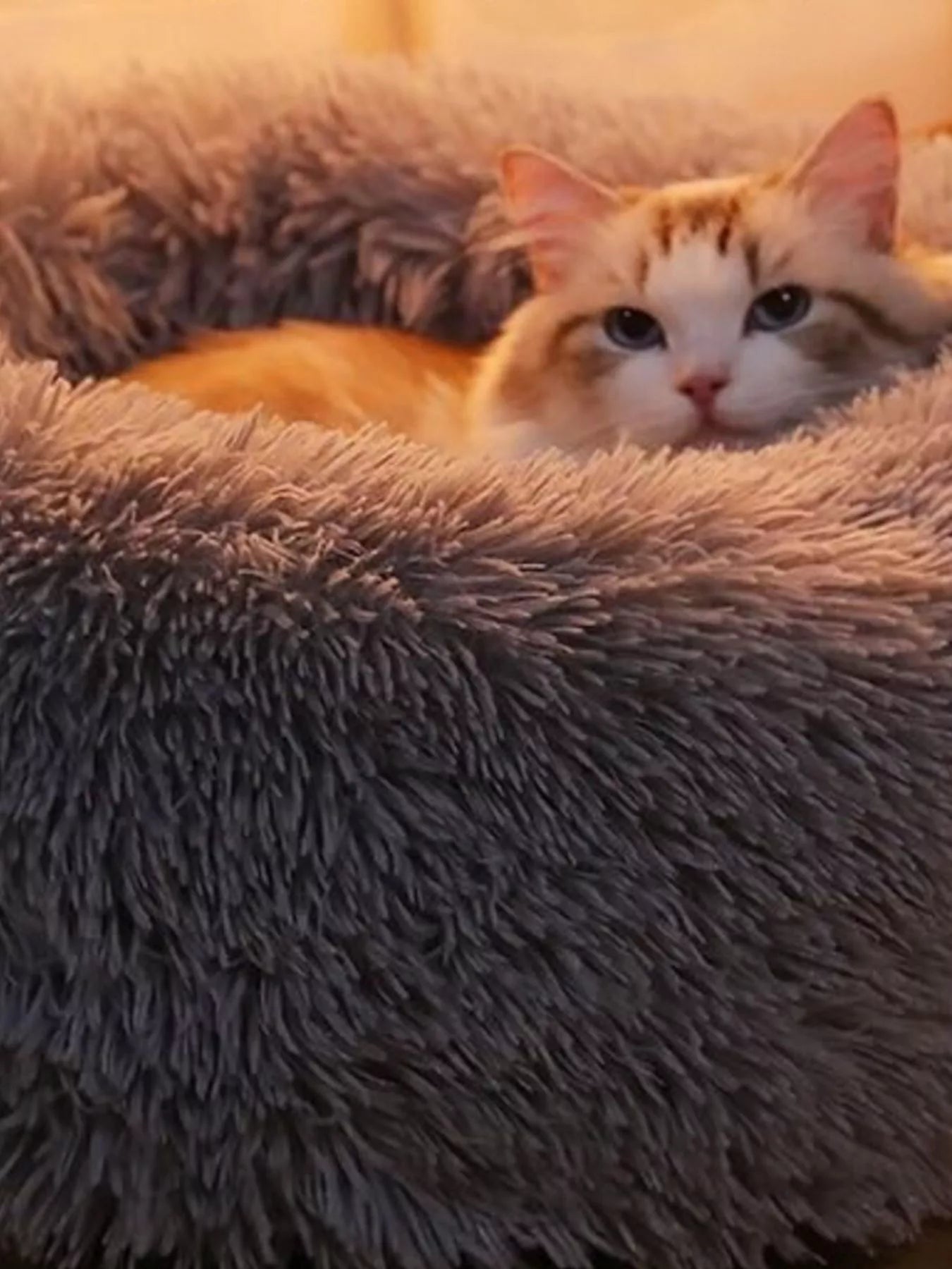 Fluffy Plush Donut Pet Nest by Trendsi